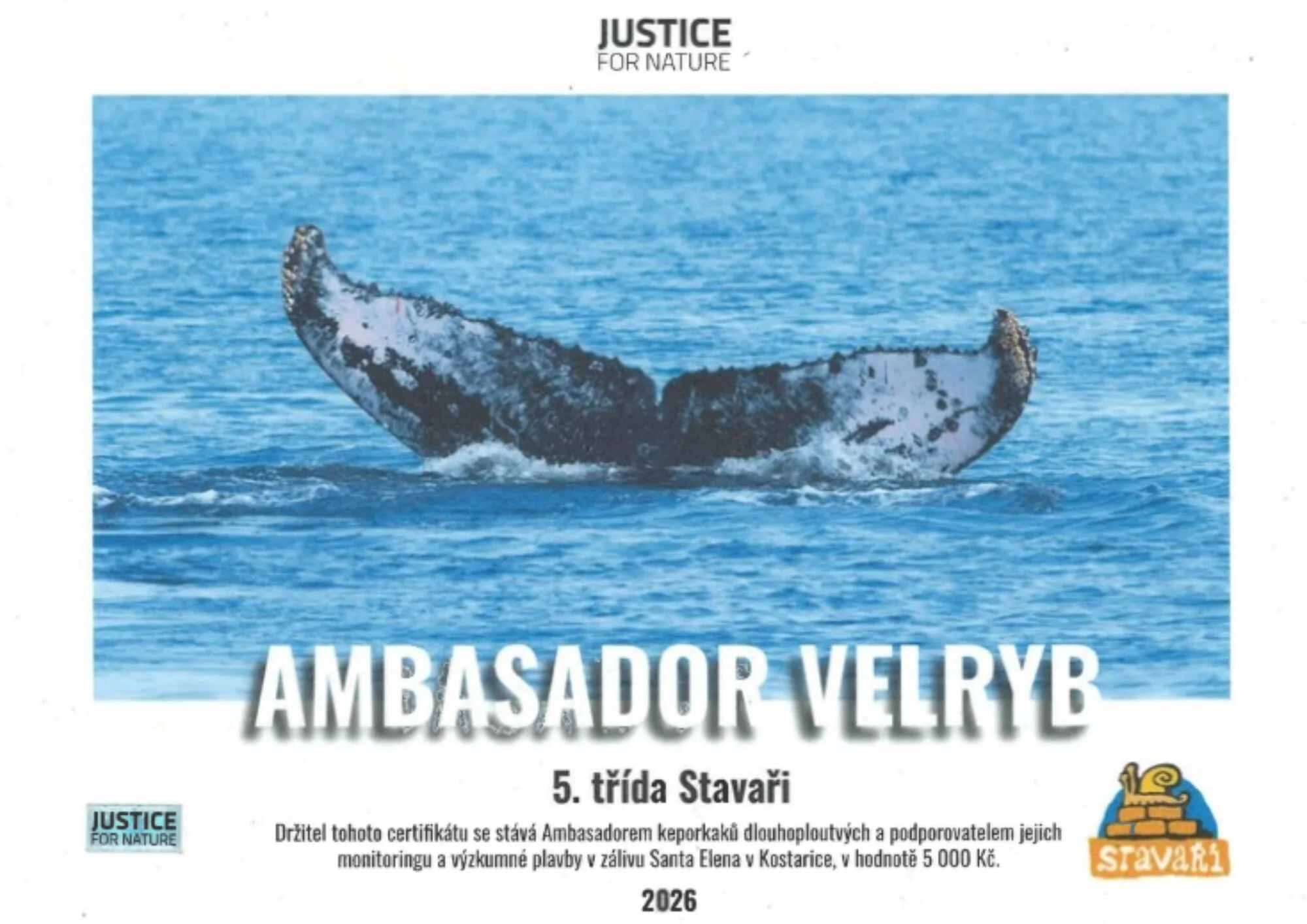 Certifikát Ambasador Velryb - 5. třída
